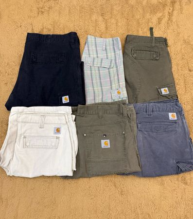 Carhartt Work Wear Shorts