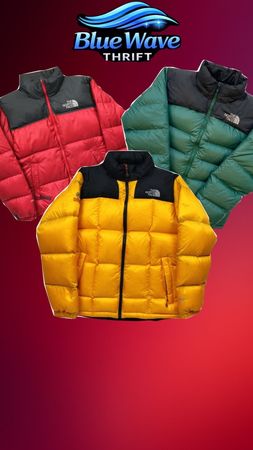 The north face jacket