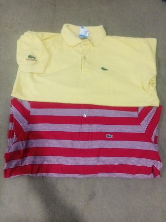 Chemises Polo Lacoste
