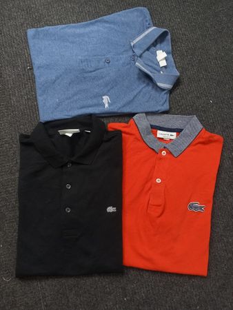 Lacoste Polo Shirts