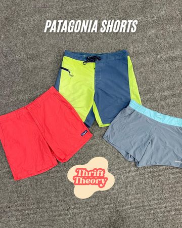 Patagonia Shorts - (02/05)