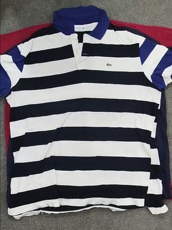 Lacoste Polo Shirts