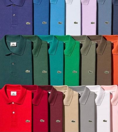 Polo Lacoste t shirts