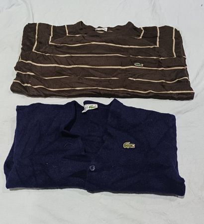 Lacoste Mixed Sweater