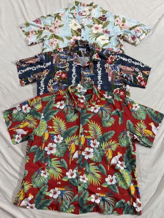 Hawaiian Shirts (351)