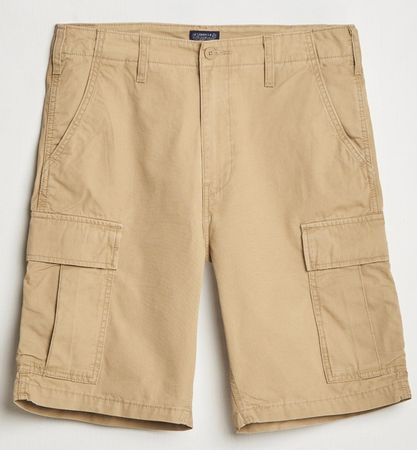 Levi's Shorts(0001)