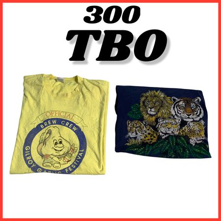 Single Sttich T-Shirts (brands) Screen Stars , Almost Famous etc #300.