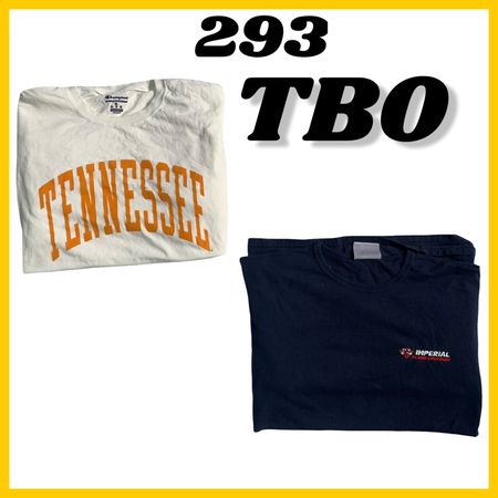 Champion T-Shrits (brand) Chamption #293.