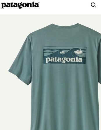 Patagonia polo and t-shirt