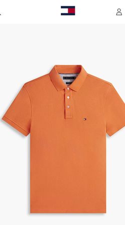 Tommy Hilfiger polo and t-shirts