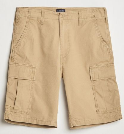 Levi's Shorts(0008)