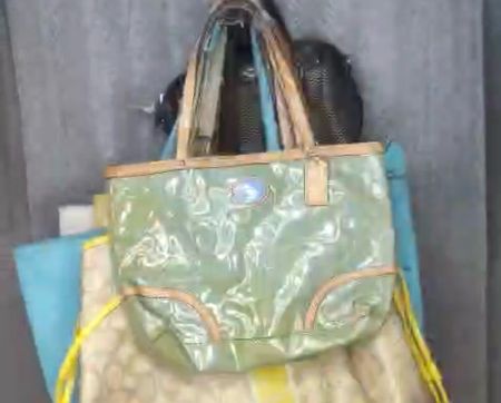 Coach Handbags