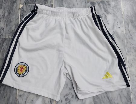 Adidas sport shorts
