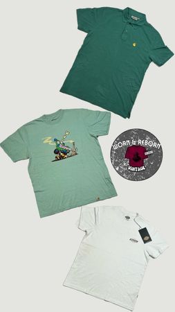 Carhartt & dickies T-shirt 16 pieces WR1528