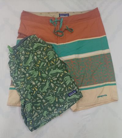 CR8702 VINTAGE PATAGONIA SHORTS