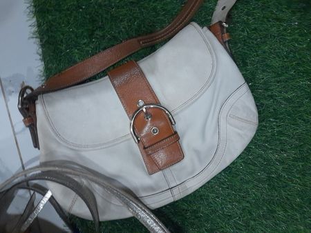 Custom handpick Teagan Clay Coach bags