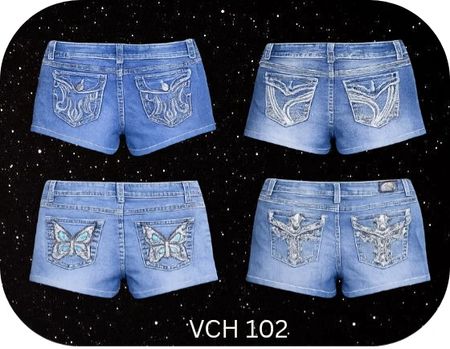 Y2k embroidered micro Mini Shorts VCH 102