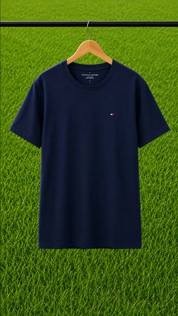 Tommy Hilfiger t-shirts