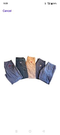 Carhartt Dickie pants