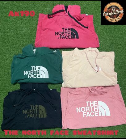 The north face sweatshirt ak190