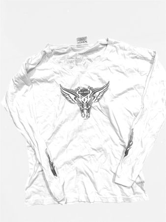 Y2K Harley Davidson tops