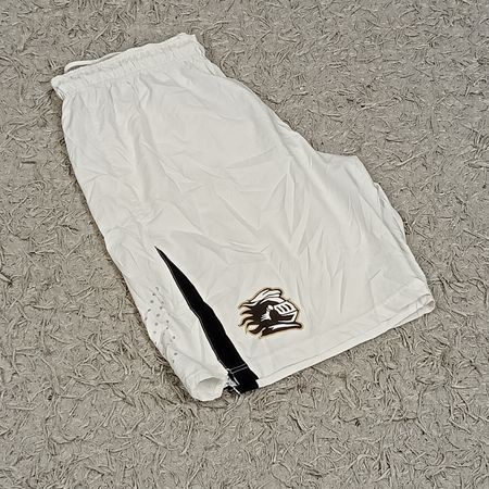 NIKE SPORTS SHORTS BUNDLE 10