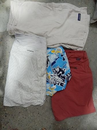 Patagonia Cotton Short