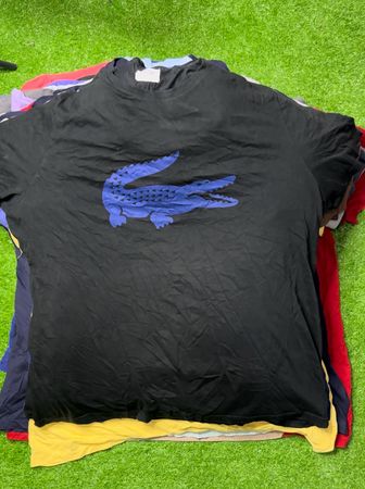 Ralph Lauren & Lacoste Polo Shirts