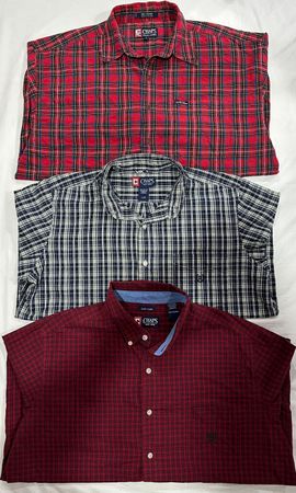 Chaps Shirts B#152