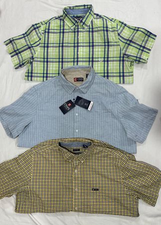 Chaps Shirts Half Sleeve B#154