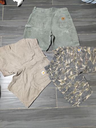 Carhartt and Dickies Shorts