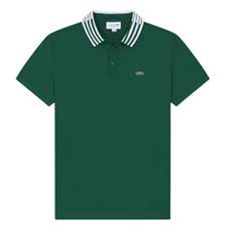 Lacoste Polo Shirts