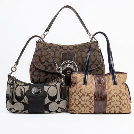 Coach Bags- Check Grading