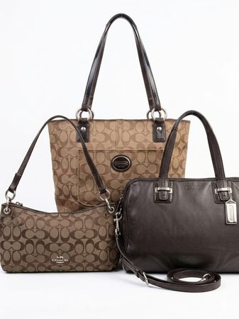 Coach Bags- Check grading