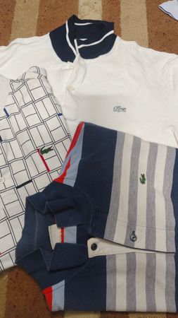 Lacoste polo shirts