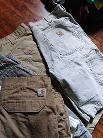 Carhartt Shorts