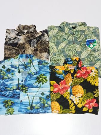 Hawaii Shirts RV # 1090