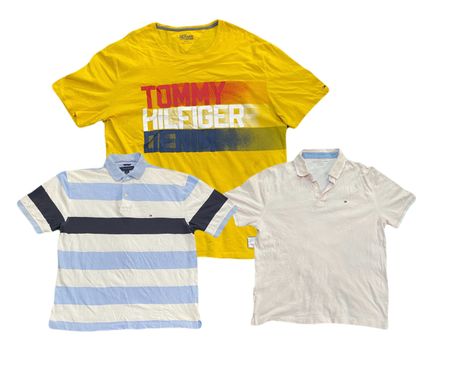 Tommy Hilfiger Polo T-Shirt