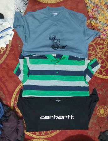 carahartt t-shirt