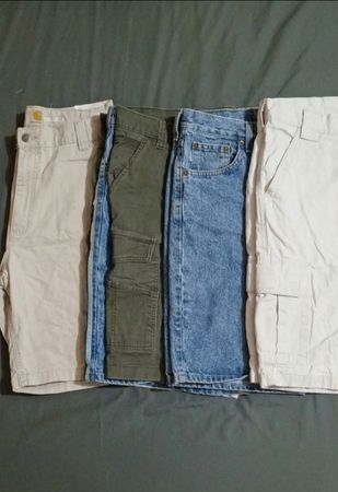Carhartt Shorts