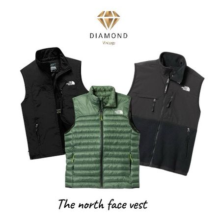 The North Face Vest (Dv -06-118)