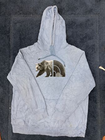 The North Face Sweatshirts [TD-482]