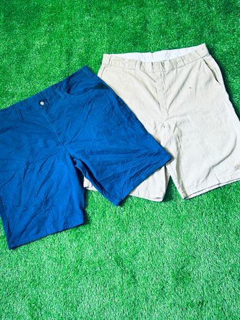 Mix Branded Shorts - Dickies, Tommy and RL
