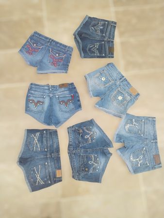 Y2K Embroidered Starlet Mini Shorts
(S-18)
