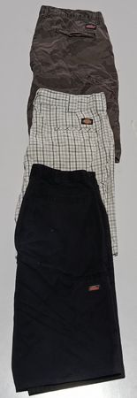 Dickies Shorts RV # 236