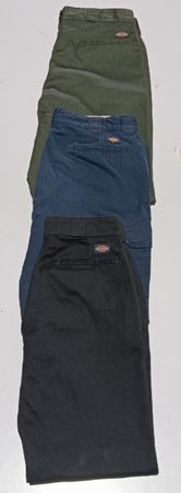 Dickies Pants RV # 747