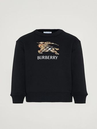 authentic Burberry sweater