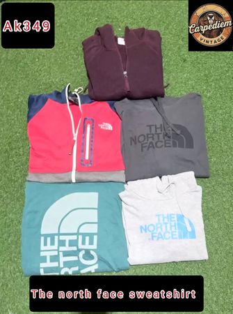 The north face sweatshirt ak349