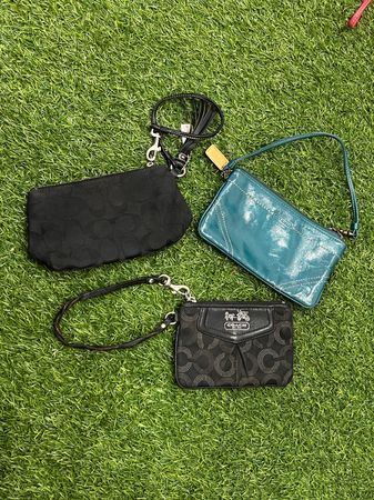 Borse Coach