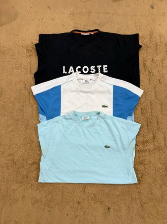 Lacoste T-Shirts